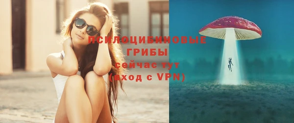 PSILOCYBIN Алексин