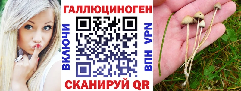 Псилоцибиновые грибы MAGIC MUSHROOMS  Инсар 